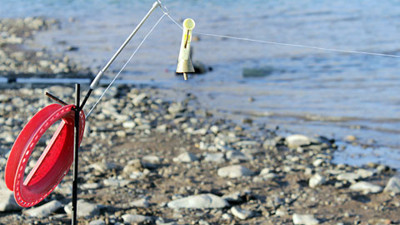 Bir tondan fazla kaçak sazan ele geçirildi