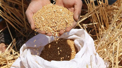 Küresel gıda krizine karşı AB'den acil eylem planı