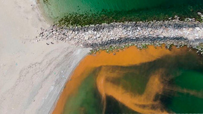 Karadeniz'de kıyının rengi değişti