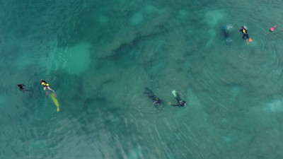 Uzmanlar uyarıyor: Tatiliniz kâbusa dönmesin. Sahilde olmadıkları yer neredeyse yok