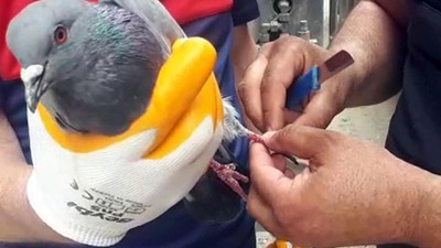 Ayağına ip dolanan güvercinin yardımına itfaiye yetişti