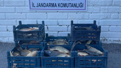 Elazığ'da kaçak balık avlayan 3 kişiye para cezası kesildi