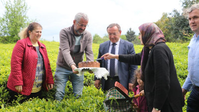 ÇAYKUR'un beyaz çay alım fiyatı belli oldu