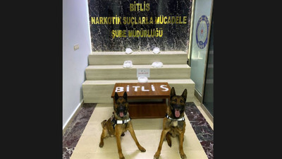 Otomobildeki uyuşturucuyu 'Buffy' ve 'Dark' buldu