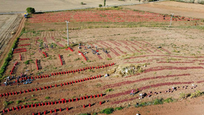 Yozgat Aydıncık’ta icradan satılık tarla