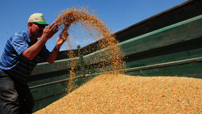 Ukrayna’da el koydukları buğdayı bakın kime satıyor. İddia büyük:"Türkiye üzerinde Suriye ve Mısır'a satılıyor"