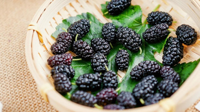 Karadutu kaynatıp her gün şerbetini içerseniz ne olur?