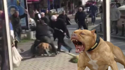 Pitbull silah sayıldı! 2 yıl 6 ay hapis cezası yedi…