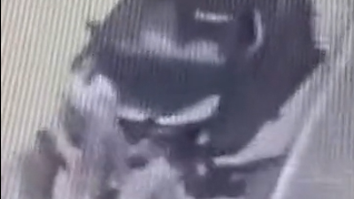 Sokak hayvanlarını besleyen tiyatro sanatçısına dehşeti yaşattılar!