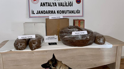 Antalya'da uyuşturucu madde ve tütün kaçakçılığı operasyonu