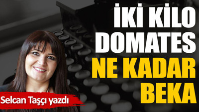 İki kilo domates; Ne kadar beka?