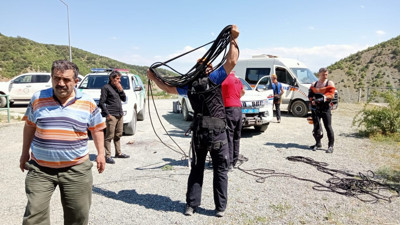 Baraja düşerek mahsur kalan karaca kurtarıldı