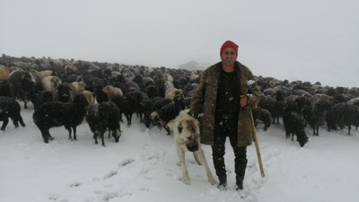 Havaya bakan çoban şok oldu. Köyüne geri döndü