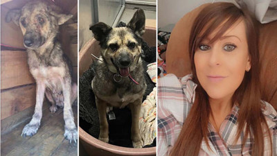 ‘Poppy’ Zonguldak’tan Londra’ya gitti! Sosyal medya kaderini değiştirdi…