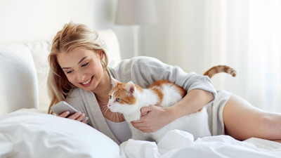 Evde kedi köpek besleyenlere sessiz salgın uyarısı. 'Büyük tehlike' diyen uzmanı açıkladı