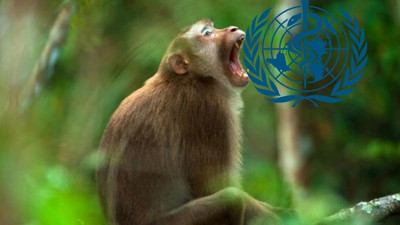 Dünya Sağlık Örgütü, maymun çiçeği virüsü için acil toplanıyor