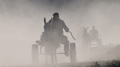 Fotoğraf Maratonu’nda eşekler tozu dumana kattı