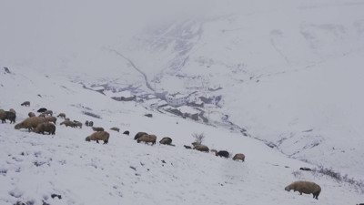 Bayburt'ta ‘mayıs’ karı