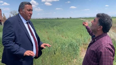 Tarlada korkulan oluyor... Kriz beklenenden kötü olacak