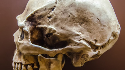 Nehirde 8000 yıllık kafatası bulundu. Ölüm nedeni...