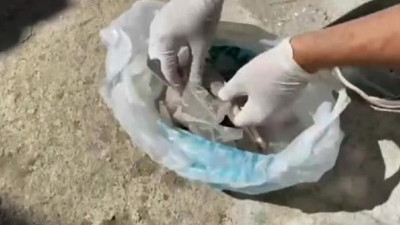 İstanbul'da 12 bin 267 tarihi eser ele geçirildi