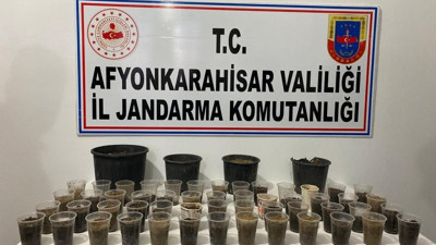4 adet çiçek saksısına ekili kenevir bulundu