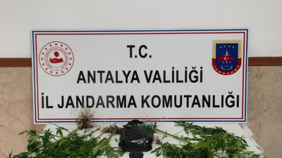 Yasadışı kenevir yetiştiren bir eve operasyon