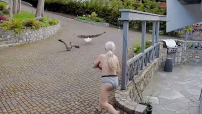 Gökyüzünden gelen tehlikeyi gördü çıplak halde koşup imdadına yetişti