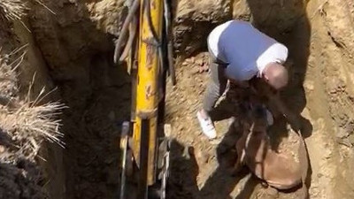Çukurdaki köpek kepçeyle kurtarıldı
