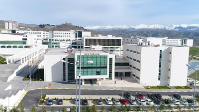 Şırnak Üniversitesi iç denetçi alacak