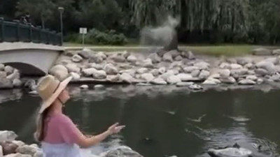 Ölen köpek küllerinden doğdu silüeti sahibine böyle veda etti