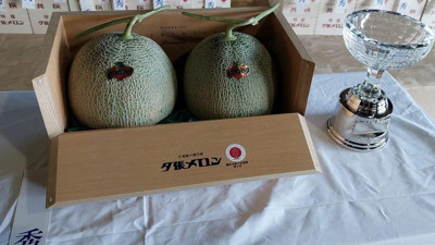 İki kavun açık artırmayla 387 bin liraya satıldı. İşte paha biçilemeyen özelliği