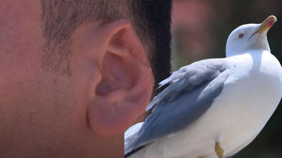 Kadını şiddetten korumak isterken kulağından oldu