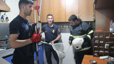 Kahvehaneci gördü okey masası dağıldı. İtfaiye yardımlarına koştu