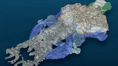 Omurgalıların en yaşlısı bulundu. Tam 390 milyon yıllık