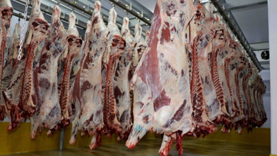 Kurban Bayramı öncesi bir bu eksikti. Ölüme kadar götürebiliyor