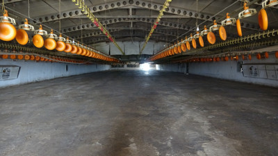 Vahşice katlettiği kadının kocasını teselli ederken yakalandı! Kürekle defalarca vurdu sonra gözlerini oydu