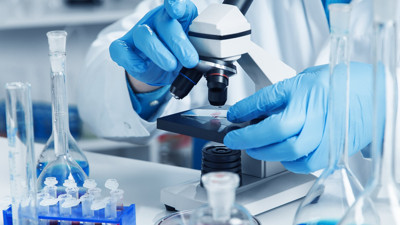 Hamamböceği sütü inek sütünden 4 kat daha besleyici. Artan nüfusu beslemenin anahtarı olabilir