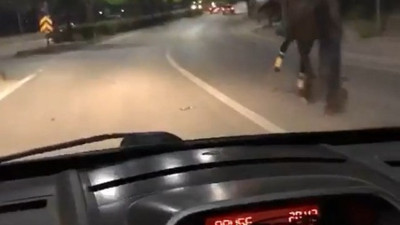 Trafikte atla yarıştı, araç sürücüsü ise spiker gibi anlattı. 100 beygir tek beygire karşı