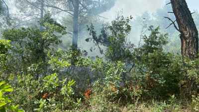Ormanlık alana düşen yıldırım yangın çıkardı