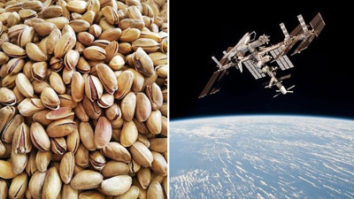 NASA astronotları şok oldu. Uzayda fıstık kabukları buldular. Yiyip yiyip dünyayı izlemişler