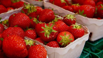 Salgının biri bitmeden diğeri başlıyor. Şimdi de çileklerden yayılan hastalık çıktı. Marketlerde satılıyor