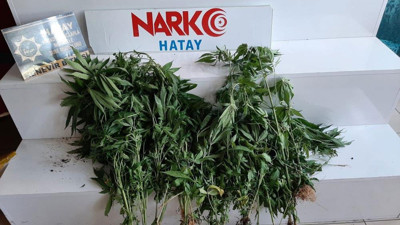 Hatay’da uyuşturucu operasyonu