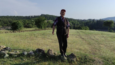 Çalındıktan sonra Mor Jade taşlarının değerini öğrendi büyük serveti kaçırdı