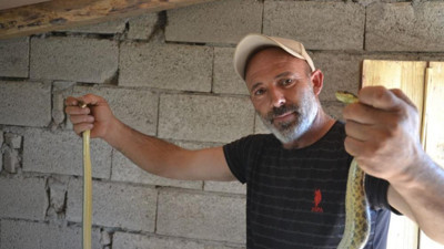 Pusuya yatan adam güvercinlerini yiyen dev yılanları yakalayıp nasihat etti