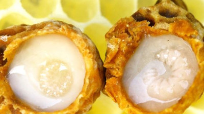 Faydaları saya saya bitmiyor. Kansere savaş açıyor bağışıklığa beton etkisi yapıyor