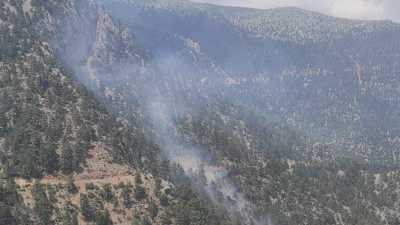 Akıl sağlığı yerinde olmayan kişi 10 dönüm ormanlık alanı cayır cayır yaktı