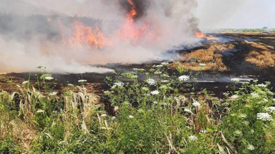 Aydın'da buğday tarlasında çıkan yangın korkuttu