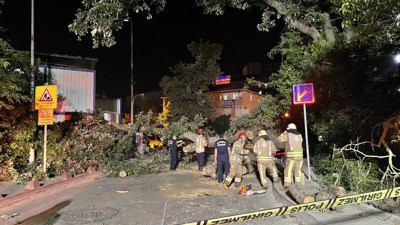 Sancaktepe'de devrilen ağaç metro inşaatı alanına düştü