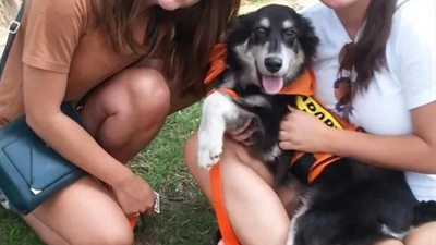 Hayvanları kurtarma kuruluşunda yönetici olan kadının evinden onlarca hayvan ölüsü çıktı